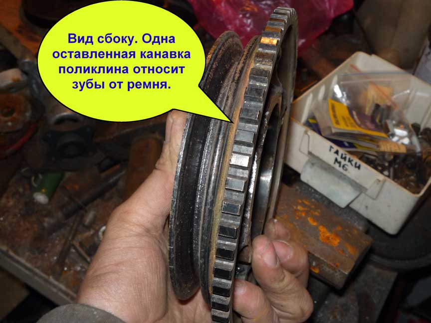 P1020429.jpg