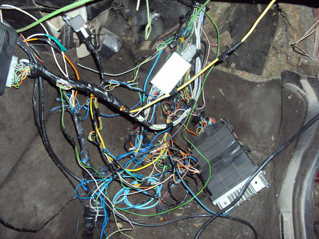 DSC02101.JPG